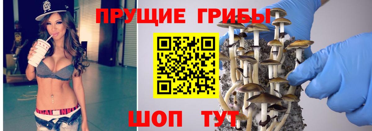 Галлюциногенные грибы мухоморы  купить  цена  Можайск  Вход с VPN 